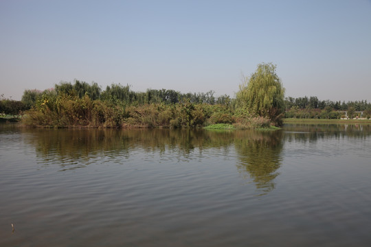 湿地公园
