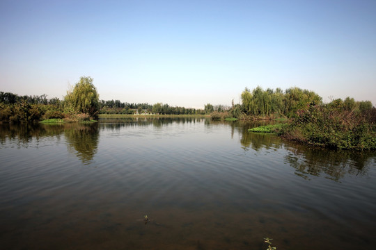 湿地公园