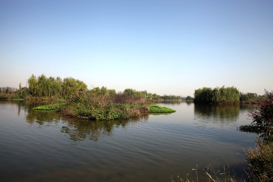 湿地公园