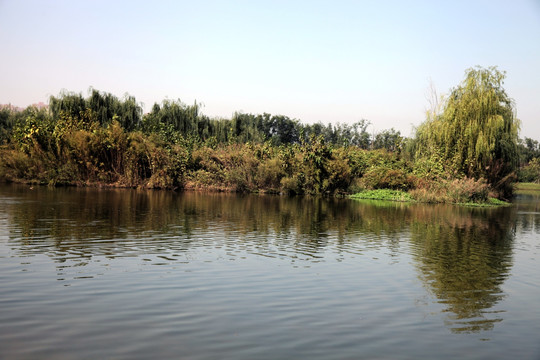 湿地公园