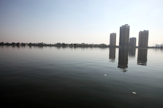 湿地公园