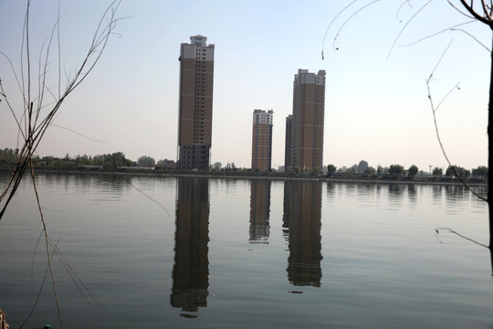 湿地公园