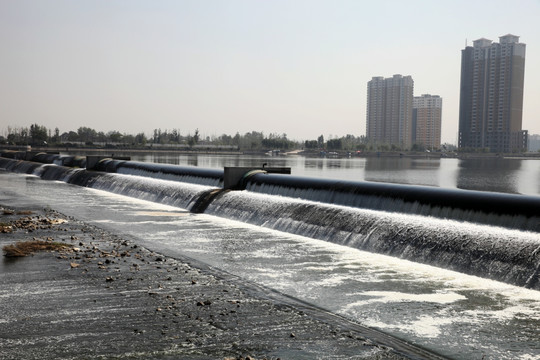 湿地公园