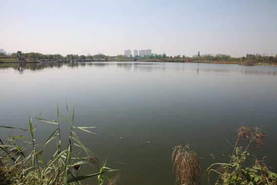 湿地公园