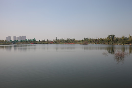 湿地公园