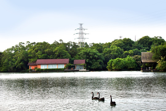 湖泊风景
