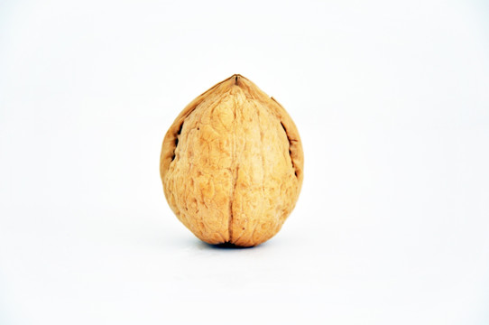 核桃