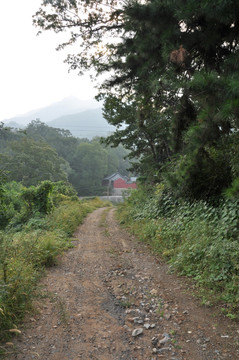 山间小路