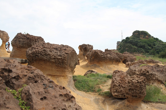 台湾野柳风景区 礁石 覃状岩