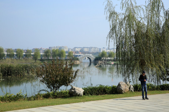 园林 湿地 拱桥 休闲 风景