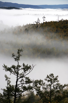 林海晨雾