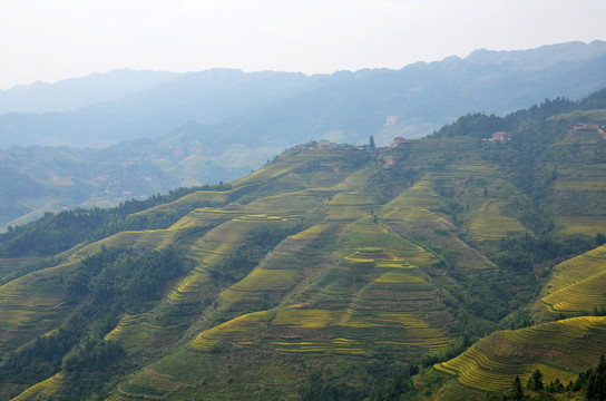 群山 龙脊梯田