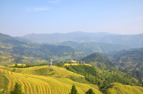 龙脊梯田