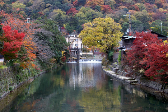 京都岚山红叶河流