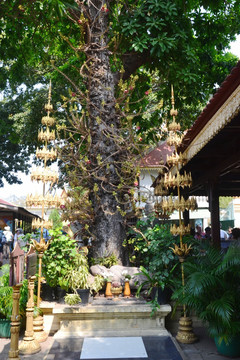 神坛 柬埔寨风光