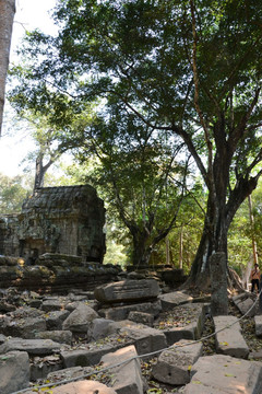 柬埔寨暹粒托玛侬神庙