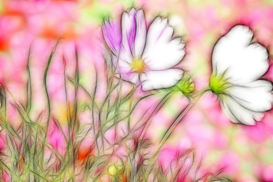 花卉 电脑画