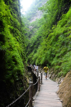 金丝峡 大峡谷 栈道