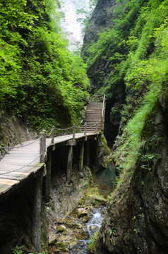 金丝峡 大峡谷 木质栈道