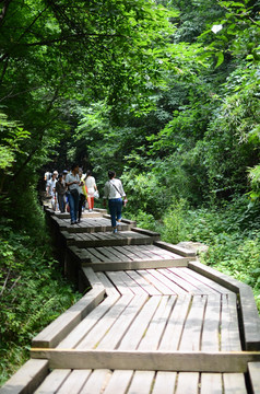 金丝峡大峡谷 景区