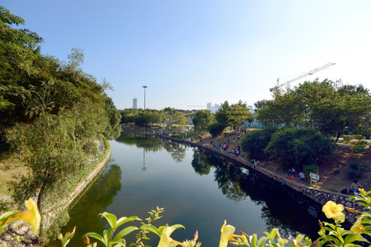 河道治理