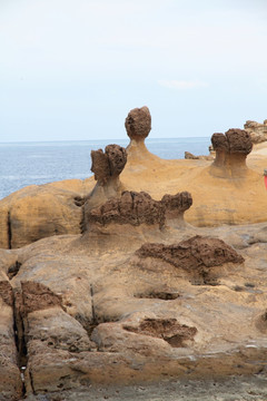 台湾野柳风景区 礁石 覃状岩