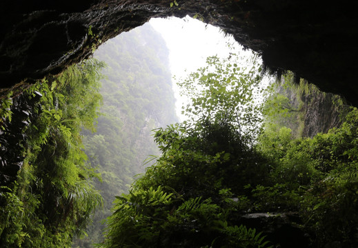 张家界大峡谷