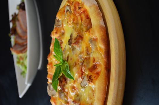鸡肉蘑菇Pizza