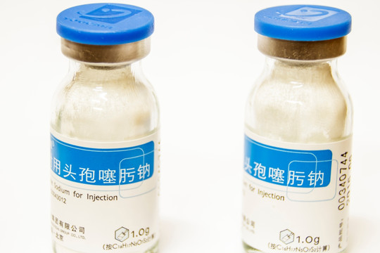 注射用头孢噻肟钠 西药 针剂
