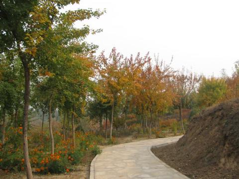 小路