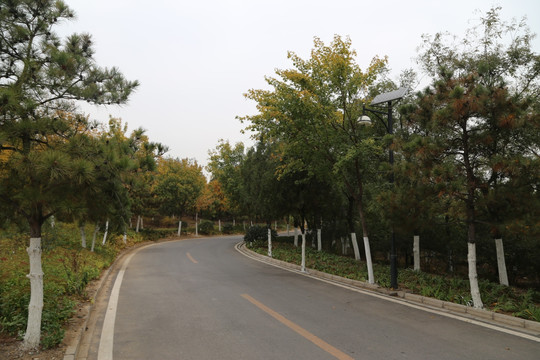 山路