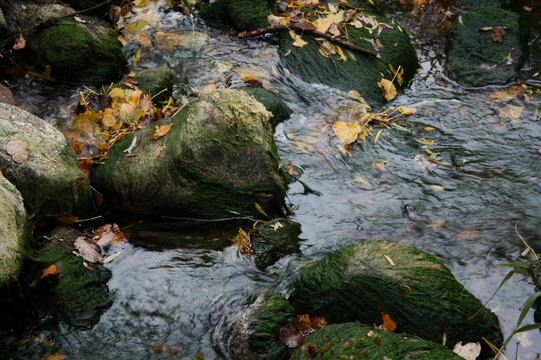 小溪水中的石头