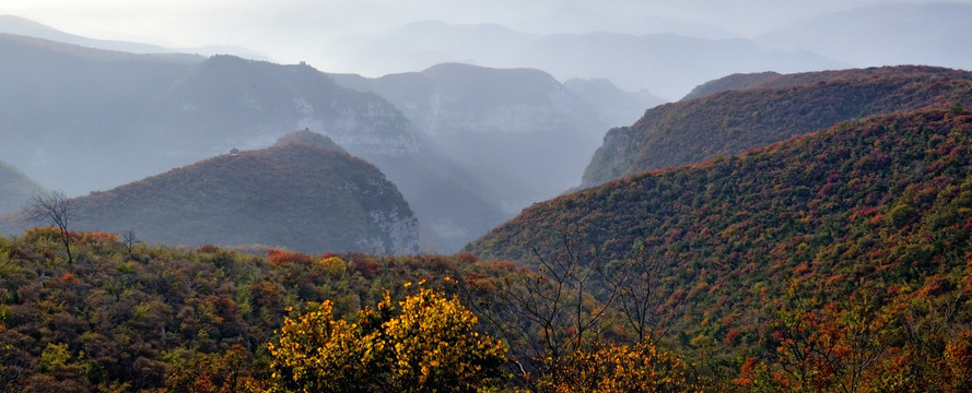 秋色 红叶 太行山 南太行