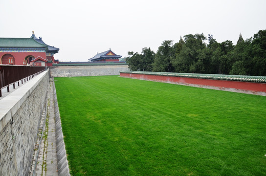 天坛草坪