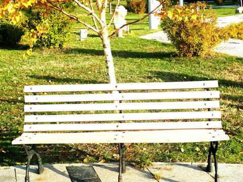 秋天的公园木椅