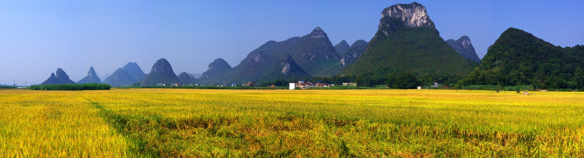 秋天全景图