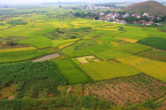 美丽乡村