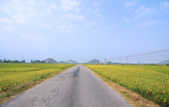 乡村道路