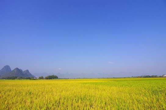 蓝天田园