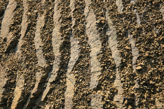 地理 岩层 页岩 纹理