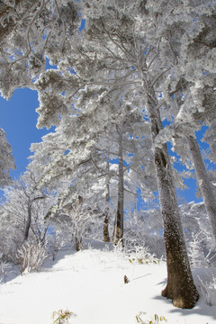 安徽黄山雪景