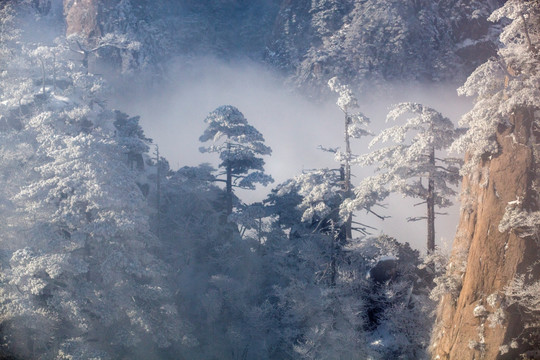 安徽黄山雪景