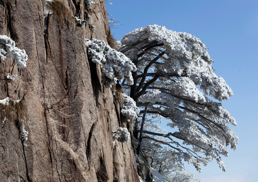 安徽黄山雪景