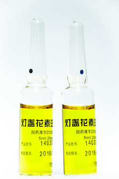 灯盏花素注射液 西药 针剂