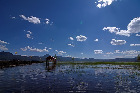 丽江拉市海湿地保护区全景