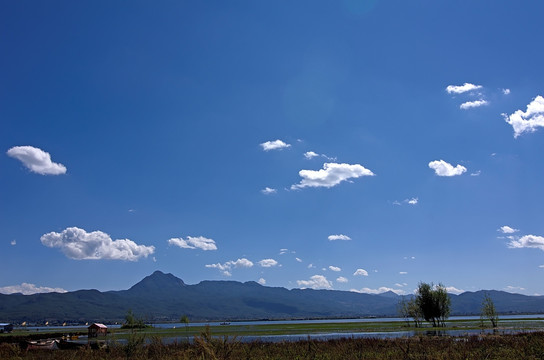 丽江拉市海湿地公园全景图