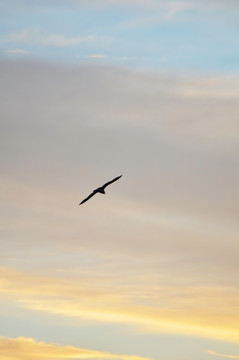 天空