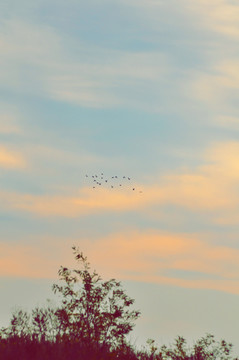 天空