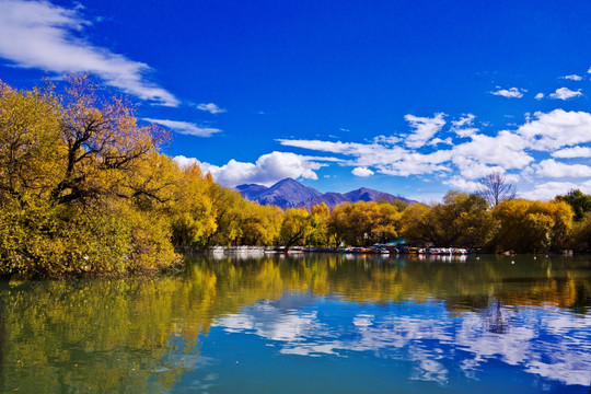 龙王潭秋景