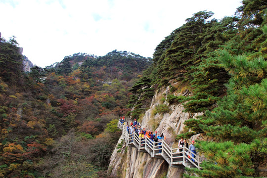 黄山 栈道